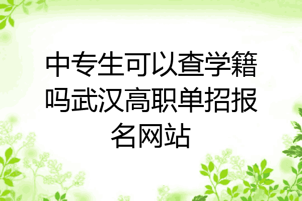 中专生可以查学籍吗武汉高职单招报名网站