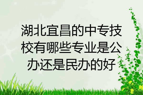湖北宜昌的中专技校有哪些专业是公办还是民办的好