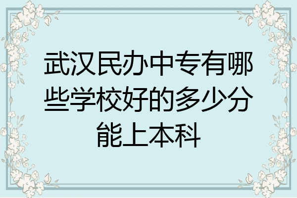 武汉民办中专有哪些学校好的多少分能上本科