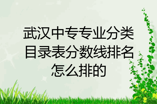 武汉中专专业分类目录表分数线排名怎么排的
