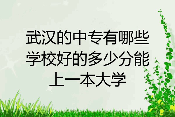 武汉的中专有哪些学校好的多少分能上一本大学