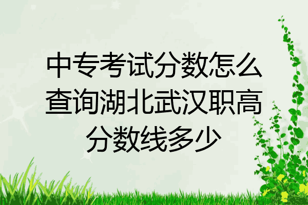 中专考试分数怎么查询湖北武汉职高分数线多少