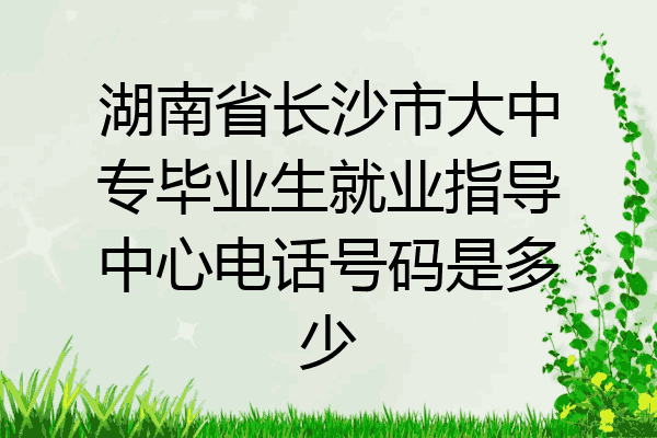 湖南省长沙市大中专毕业生就业指导中心电话号码是多少