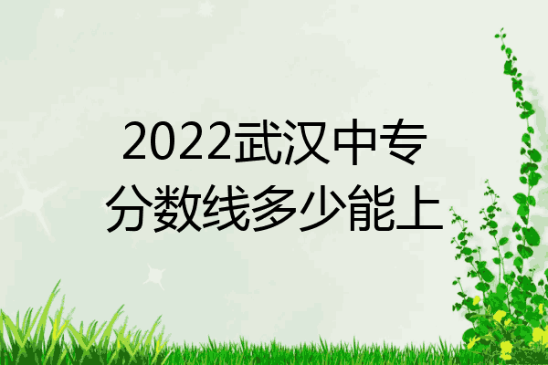 2022武汉中专分数线多少能上