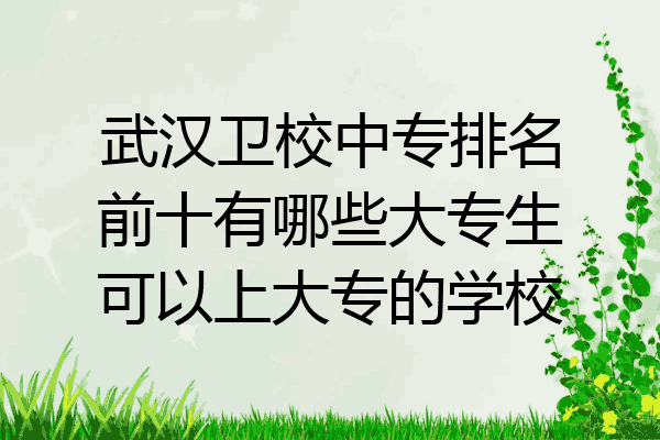 武汉卫校中专排名前十有哪些大专生可以上大专的学校