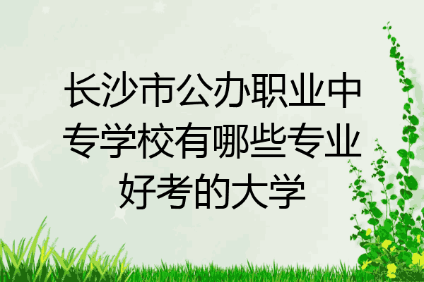 长沙市公办职业中专学校有哪些专业好考的大学