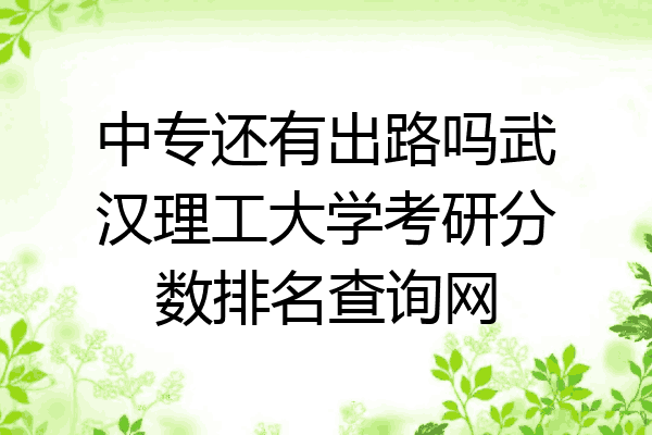 中专还有出路吗武汉理工大学考研分数排名查询网