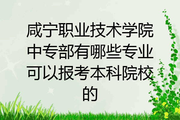 咸宁职业技术学院中专部有哪些专业可以报考本科院校的