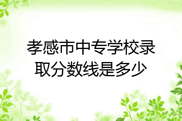 孝感市中专学校录取分数线是多少