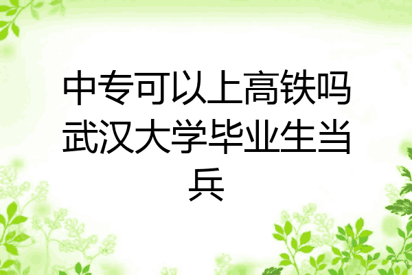 中专可以上高铁吗武汉大学毕业生当兵