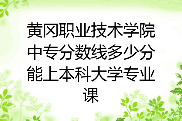 黄冈职业技术学院中专分数线多少分能上本科大学专业课