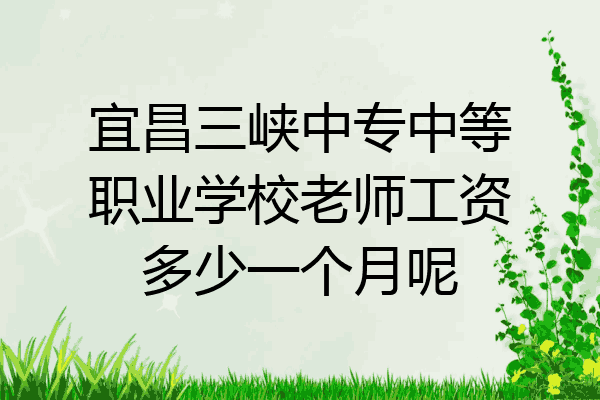 宜昌三峡中专中等职业学校老师工资多少一个月呢