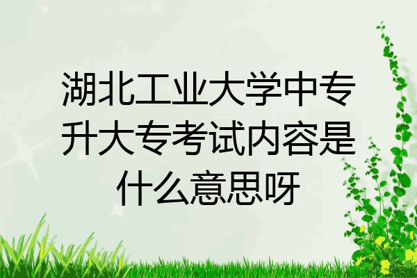 湖北工业大学中专升大专考试内容是什么意思呀