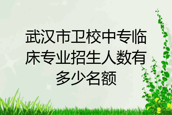 武汉市卫校中专临床专业招生人数有多少名额