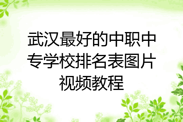 武汉最好的中职中专学校排名表图片视频教程