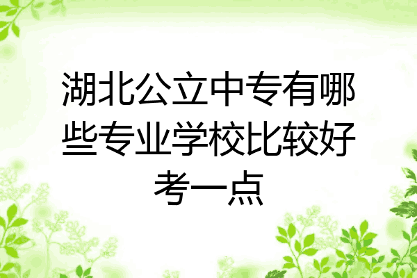 湖北公立中专有哪些专业学校比较好考一点