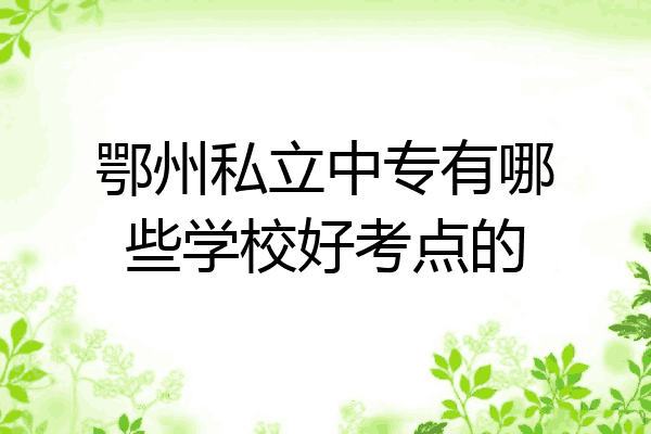 鄂州私立中专有哪些学校好考点的