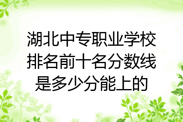 湖北中专职业学校排名前十名分数线是多少分能上的