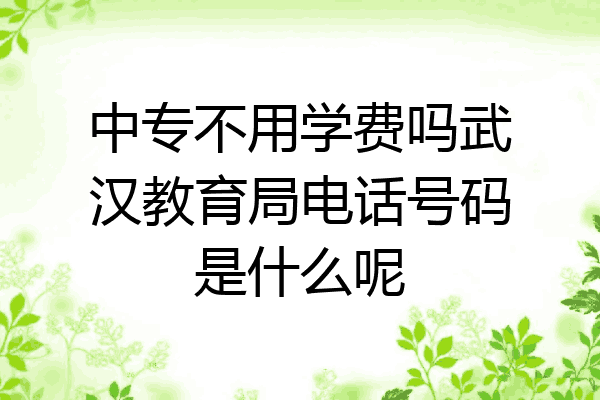 中专不用学费吗武汉教育局电话号码是什么呢