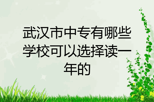 武汉市中专有哪些学校可以选择读一年的