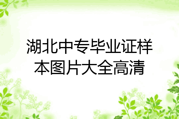 湖北中专毕业证样本图片大全高清