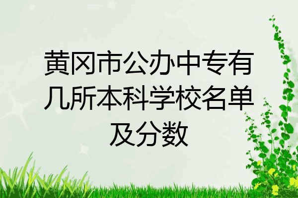 黄冈市公办中专有几所本科学校名单及分数