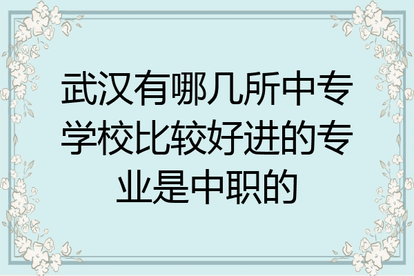 武汉有哪几所中专学校比较好进的专业是中职的