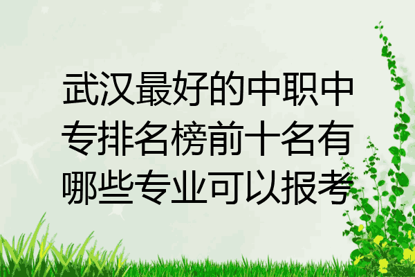 武汉最好的中职中专排名榜前十名有哪些专业可以报考