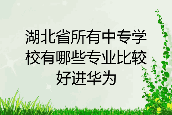 湖北省所有中专学校有哪些专业比较好进华为