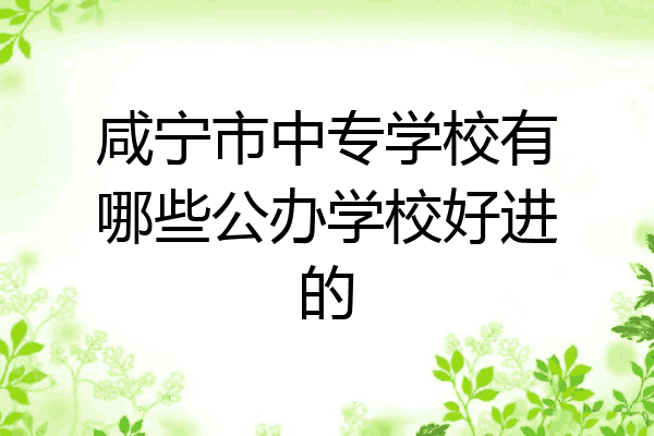 咸宁市中专学校有哪些公办学校好进的