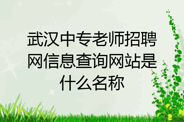 武汉中专老师招聘网信息查询网站是什么名称
