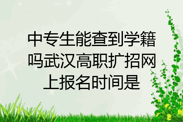中专生能查到学籍吗武汉高职扩招网上报名时间是