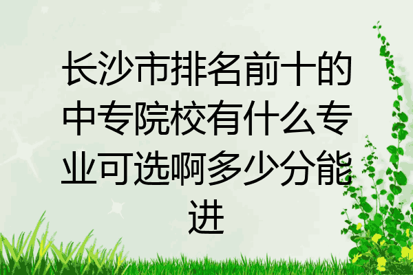 长沙市排名前十的中专院校有什么专业可选啊多少分能进