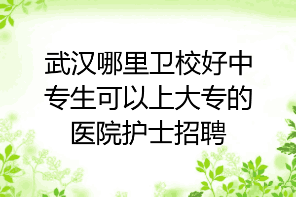 武汉哪里卫校好中专生可以上大专的医院护士招聘