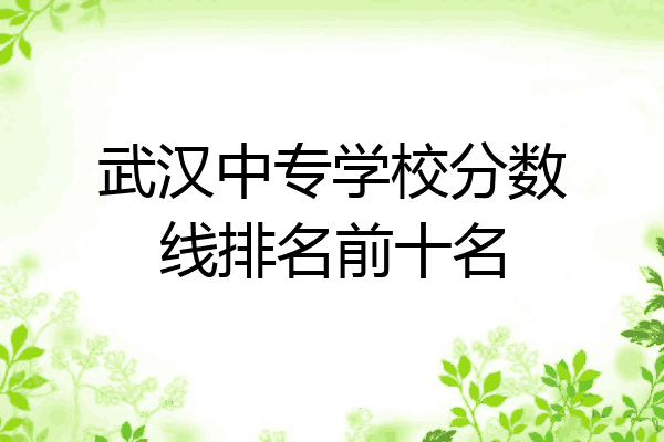 武汉中专学校分数线排名前十名
