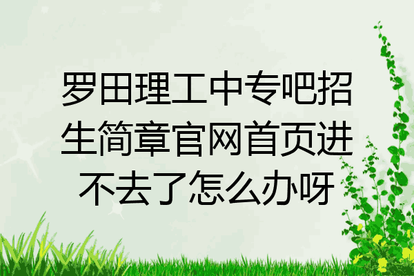 罗田理工中专吧招生简章官网首页进不去了怎么办呀
