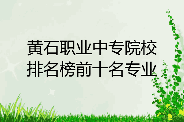 黄石职业中专院校排名榜前十名专业