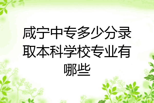 咸宁中专多少分录取本科学校专业有哪些
