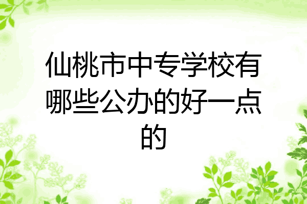 仙桃市中专学校有哪些公办的好一点的