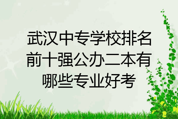 武汉中专学校排名前十强公办二本有哪些专业好考