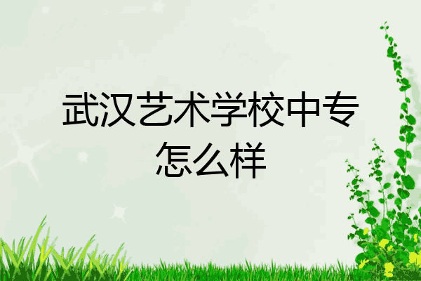 武汉艺术学校中专怎么样