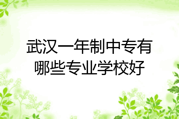 武汉一年制中专有哪些专业学校好