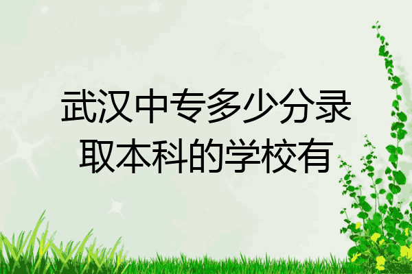 武汉中专多少分录取本科的学校有