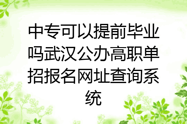 中专可以提前毕业吗武汉公办高职单招报名网址查询系统