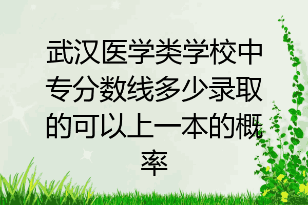 武汉医学类学校中专分数线多少录取的可以上一本的概率