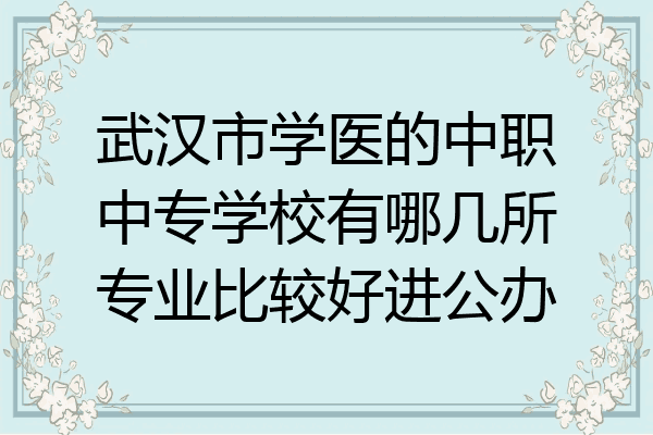 武汉市学医的中职中专学校有哪几所专业比较好进公办