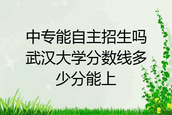 中专能自主招生吗武汉大学分数线多少分能上