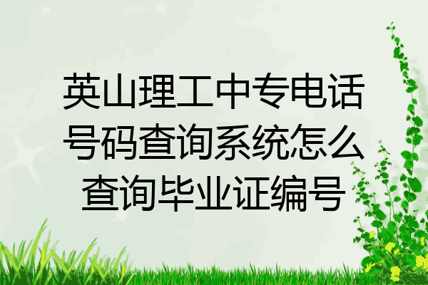 英山理工中专电话号码查询系统怎么查询毕业证编号