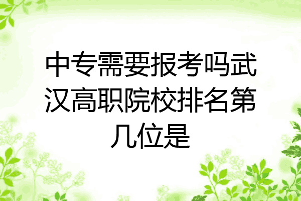 中专需要报考吗武汉高职院校排名第几位是