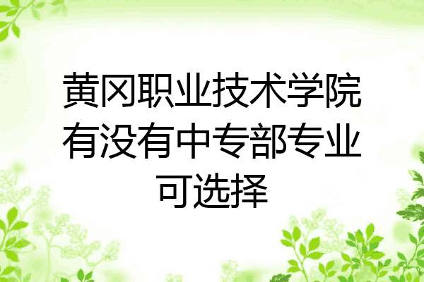 黄冈职业技术学院有没有中专部专业可选择